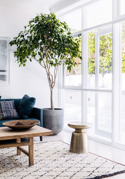 Pot décoration intérieur