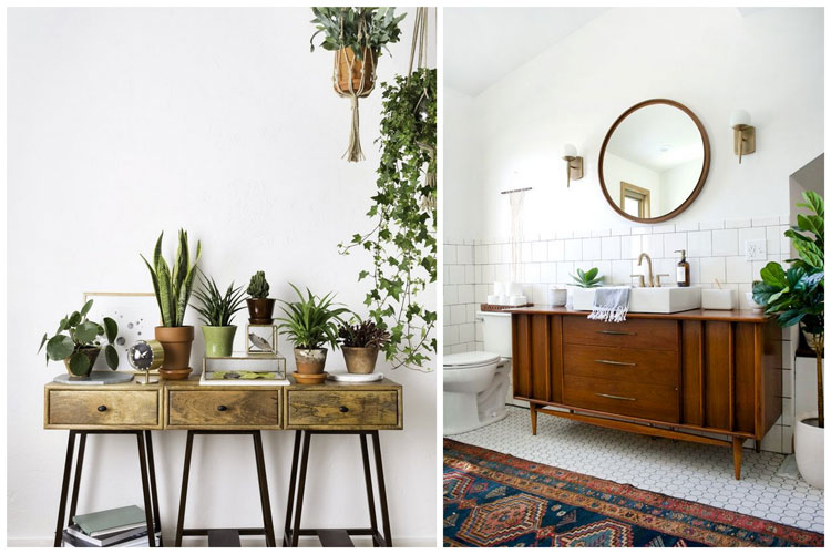 Décoration plantes interieur