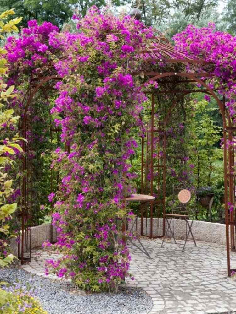 Decoration de jardin a donner