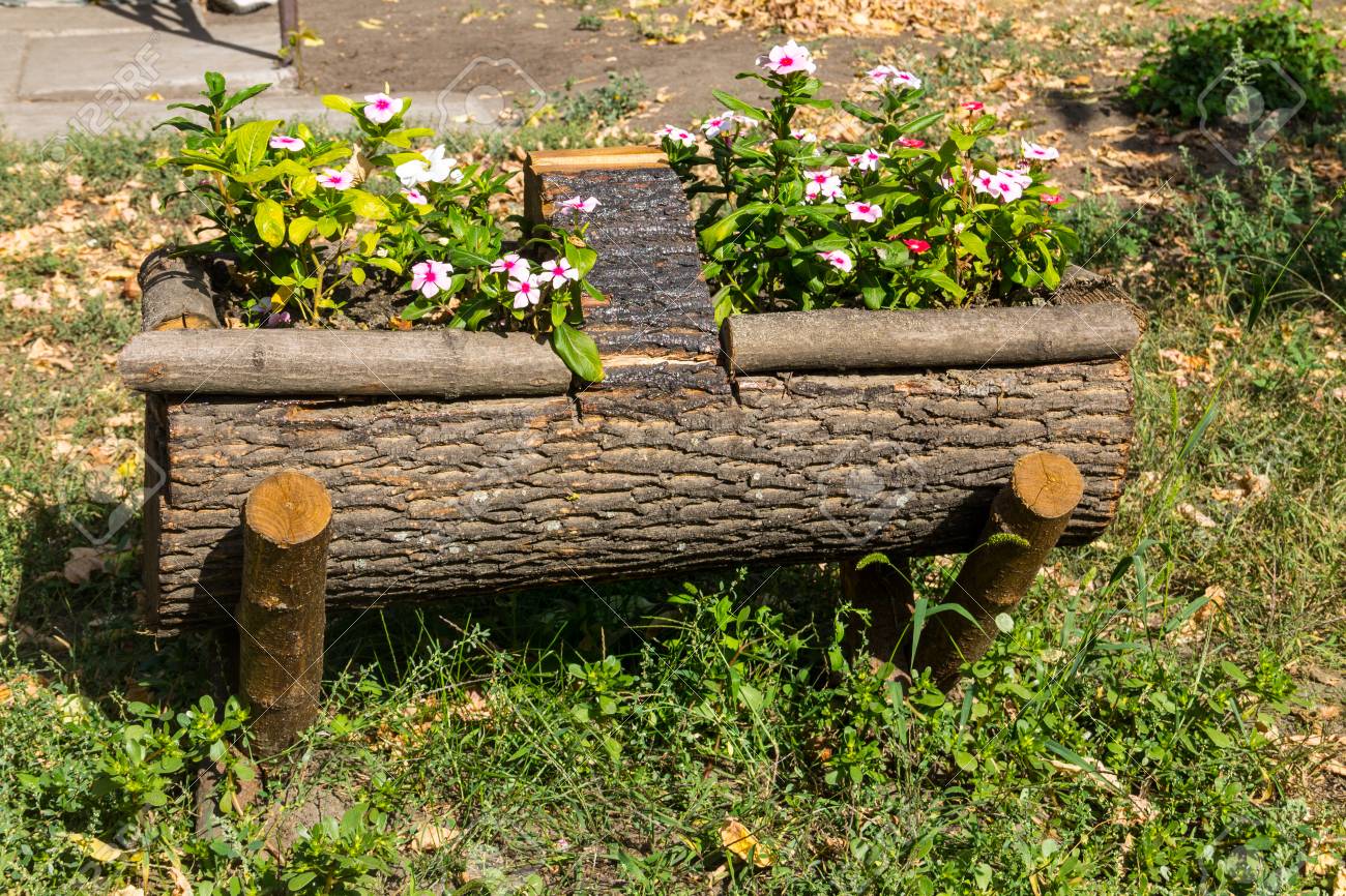 Decoration jardin arbre