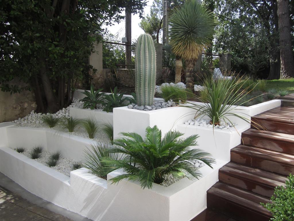 Décoration exotique jardin