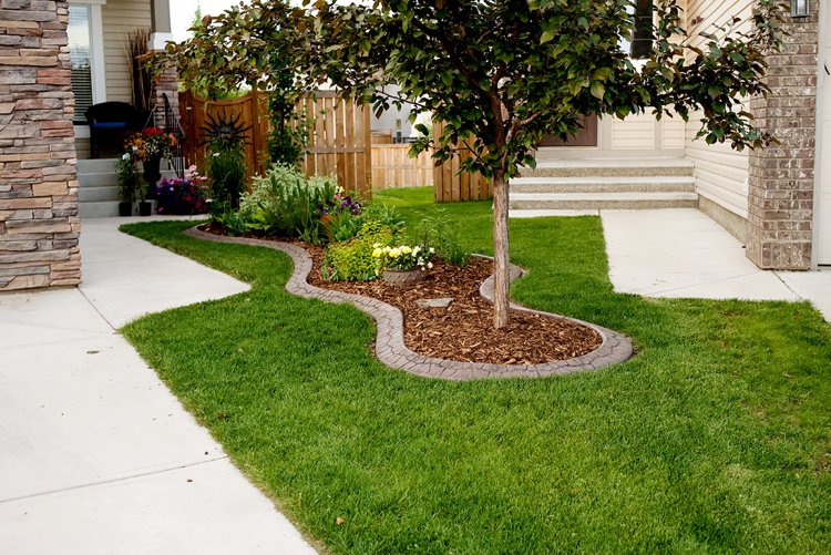 Decoration dun jardin