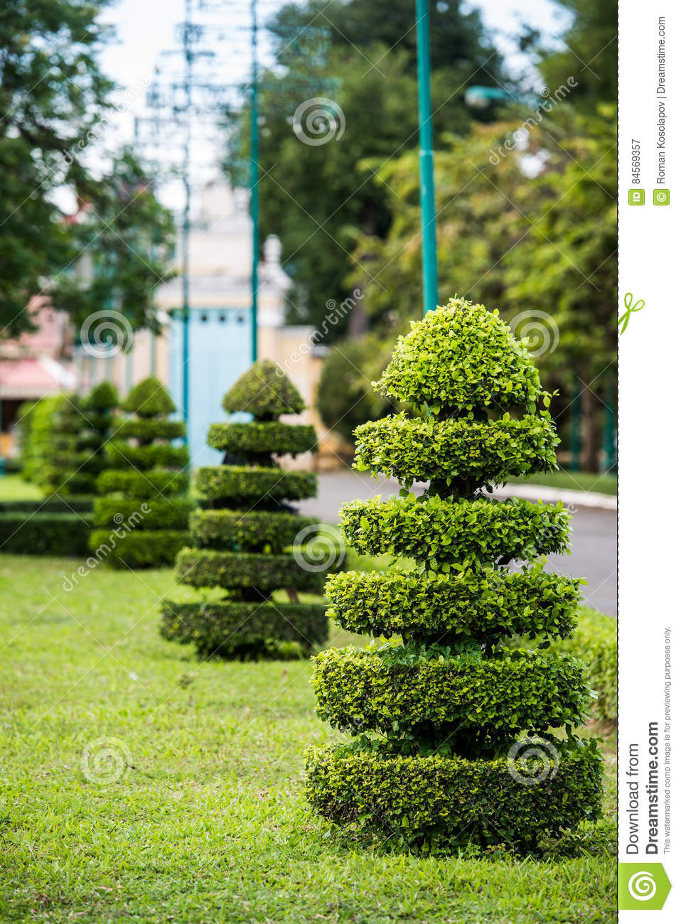 Decoration arbres jardin