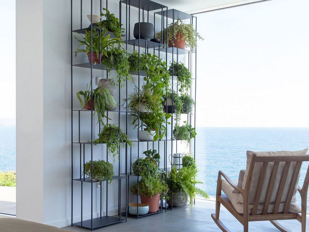 Decoration vegetale jardin