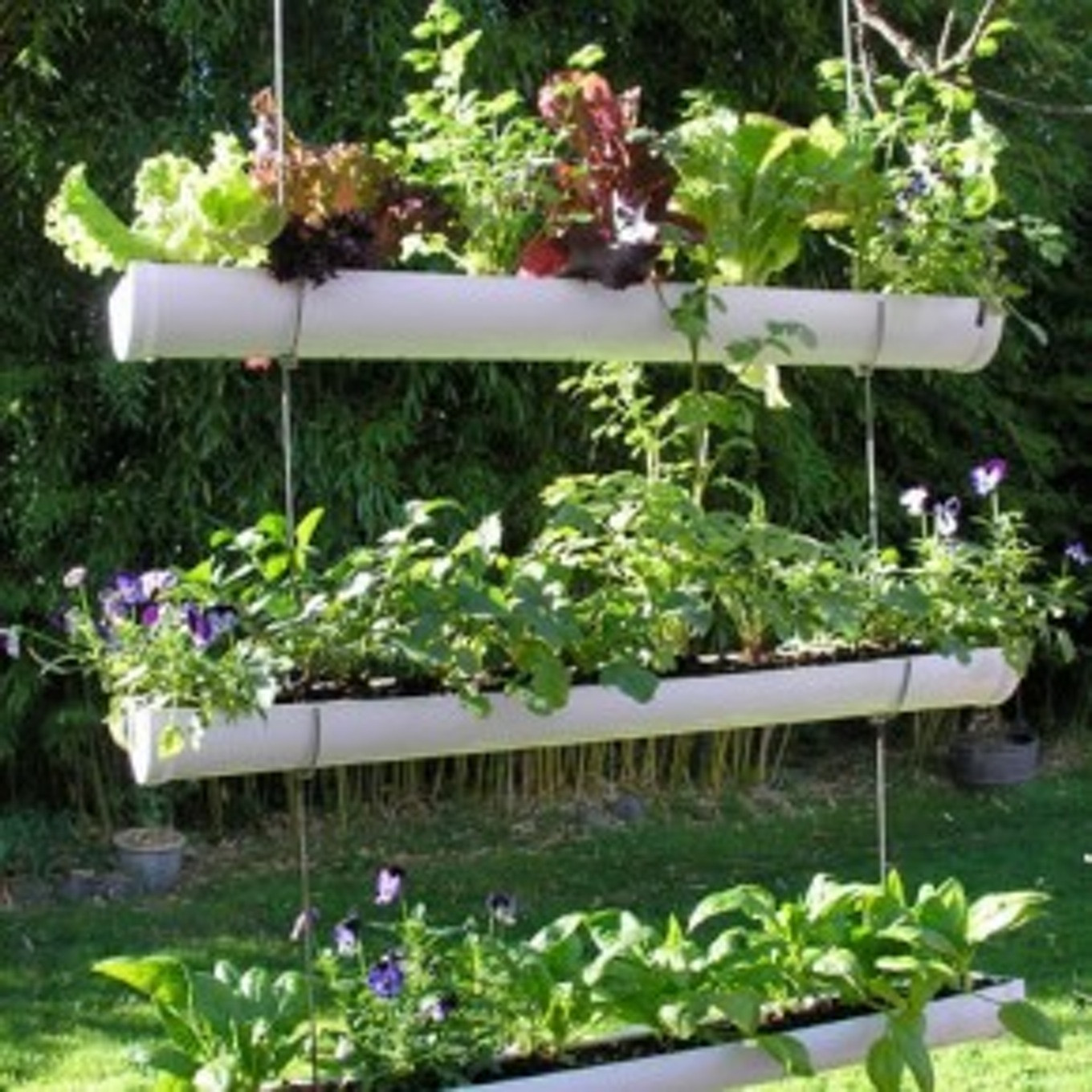 Photo decoration exterieure jardin