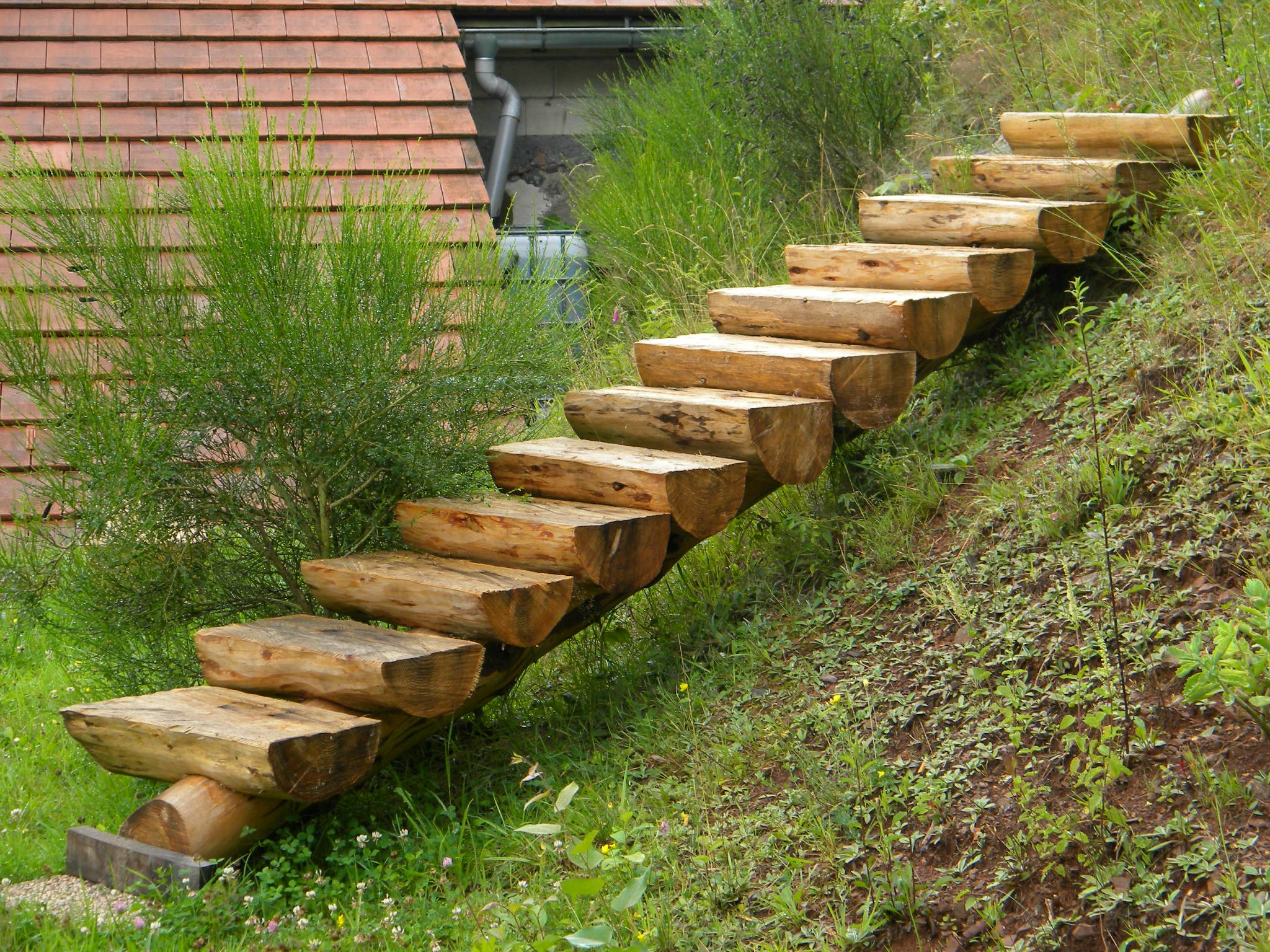 Bois décoration de jardin