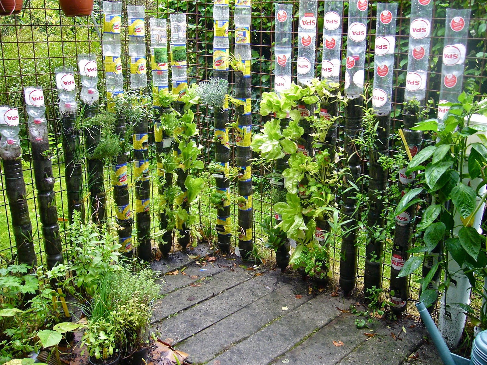 Decoration jardin suspendu