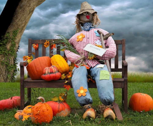 Decoration jardin automne