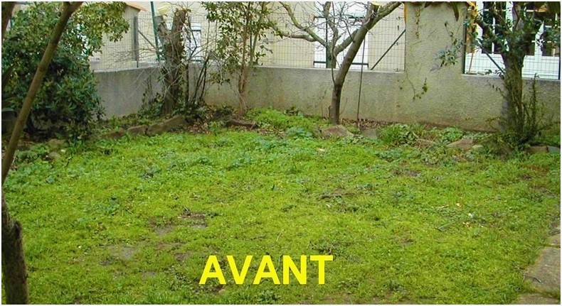 Idee decoration jardin mur