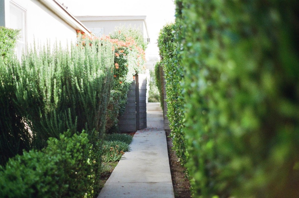Www decoration jardin