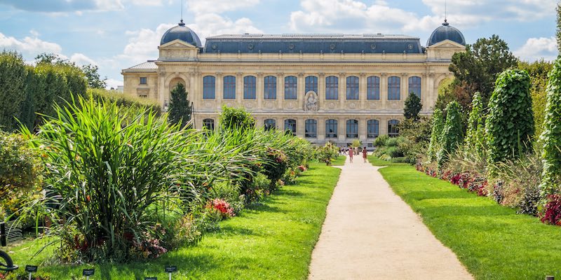 Decoration jardin des plantes paris