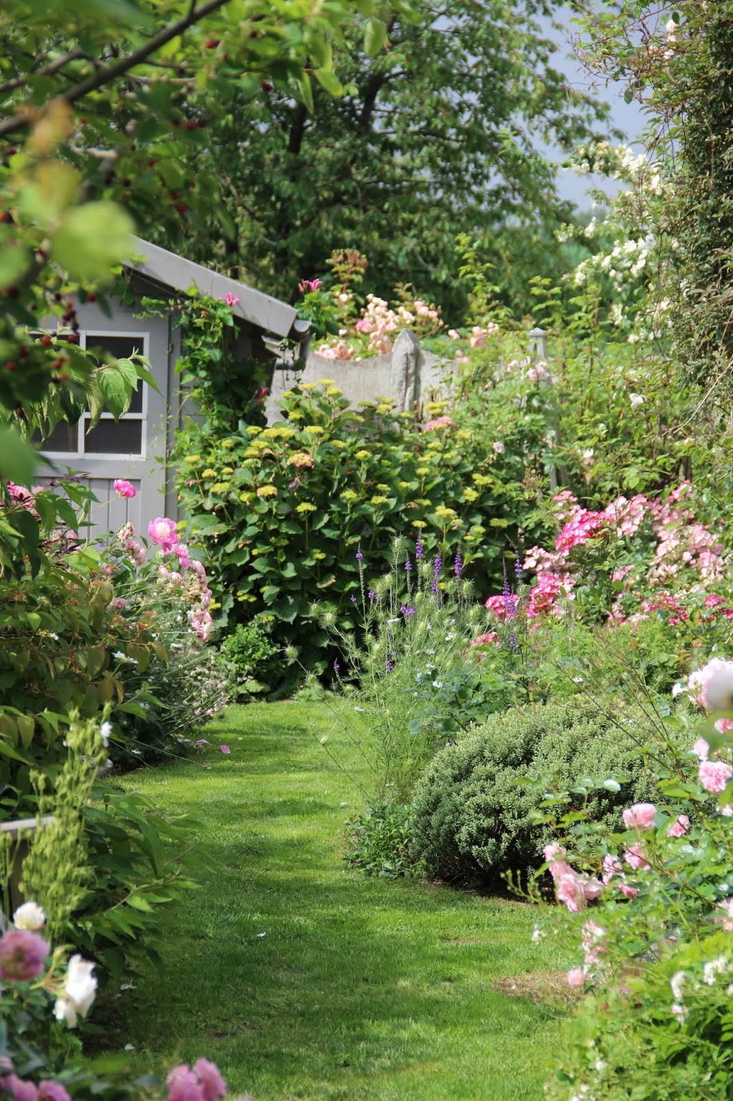 Decoration de jardin avec des plantes