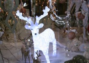 Decoration noel jardin des plantes