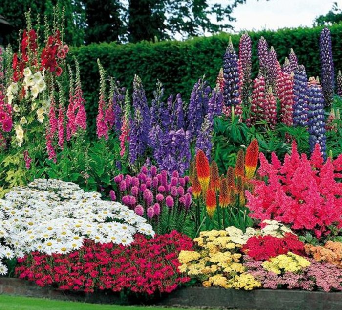 Decoration jardin fleuri