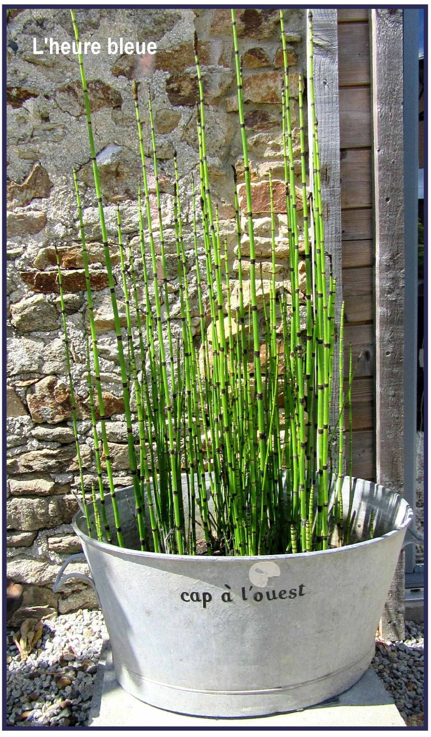Décoration zinc jardin