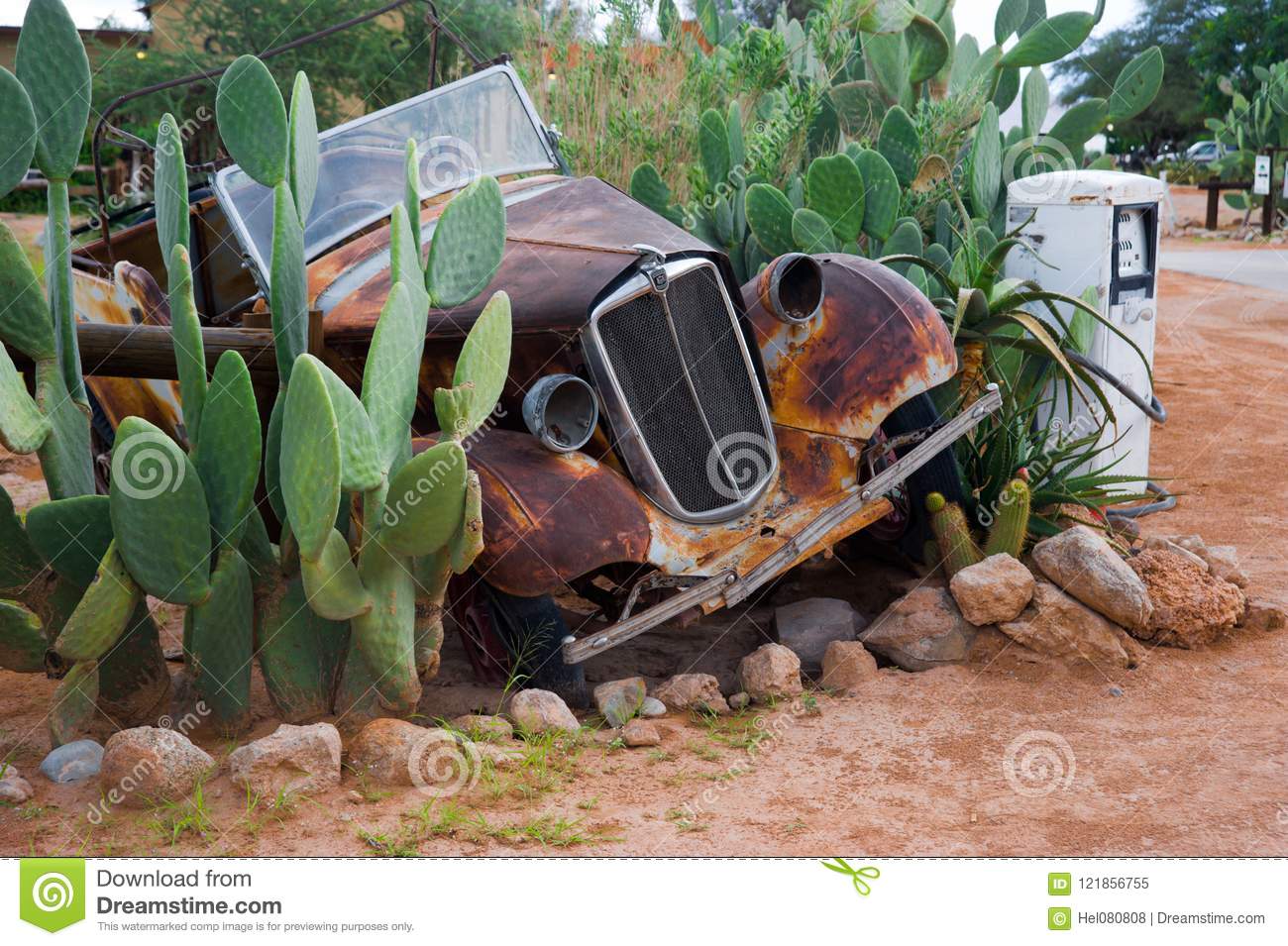 Decoration jardin voiture