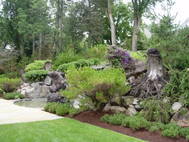 Décoration d'un jardin exotique