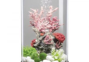 Lampe design aquarium