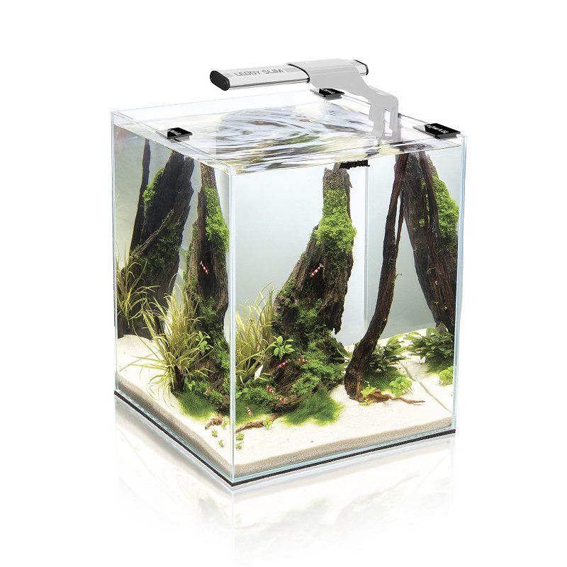 Lampe design aquarium